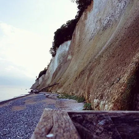 Fuerstenhof Beagle זאסניץ